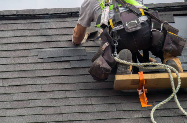 Professional Roofing Contractor in Candlewick Lake, IL