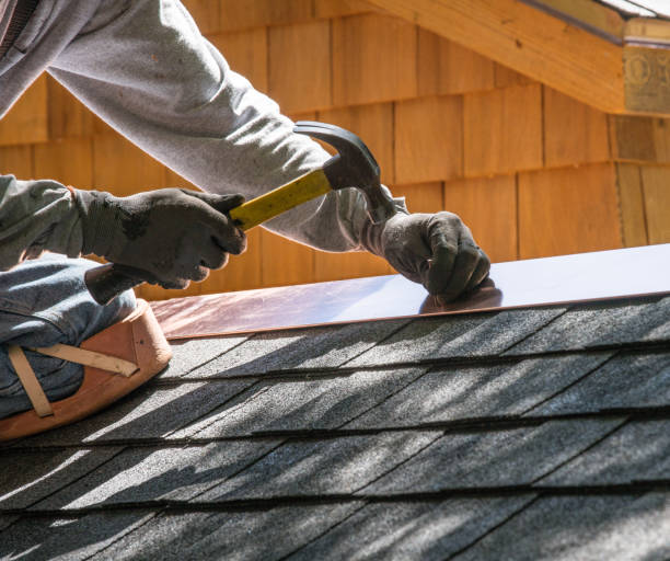 Best Metal Roofing Contractor  in Candlewick Lake, IL